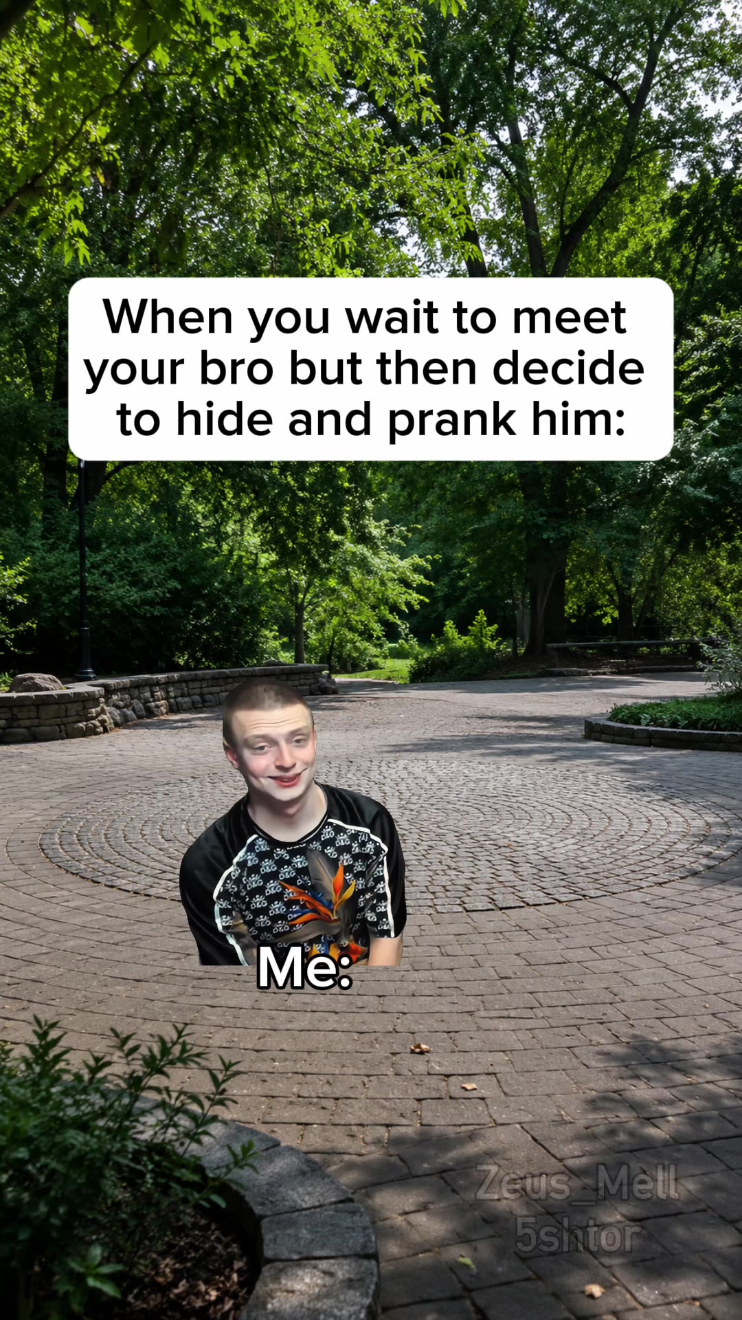 @ZeusMell