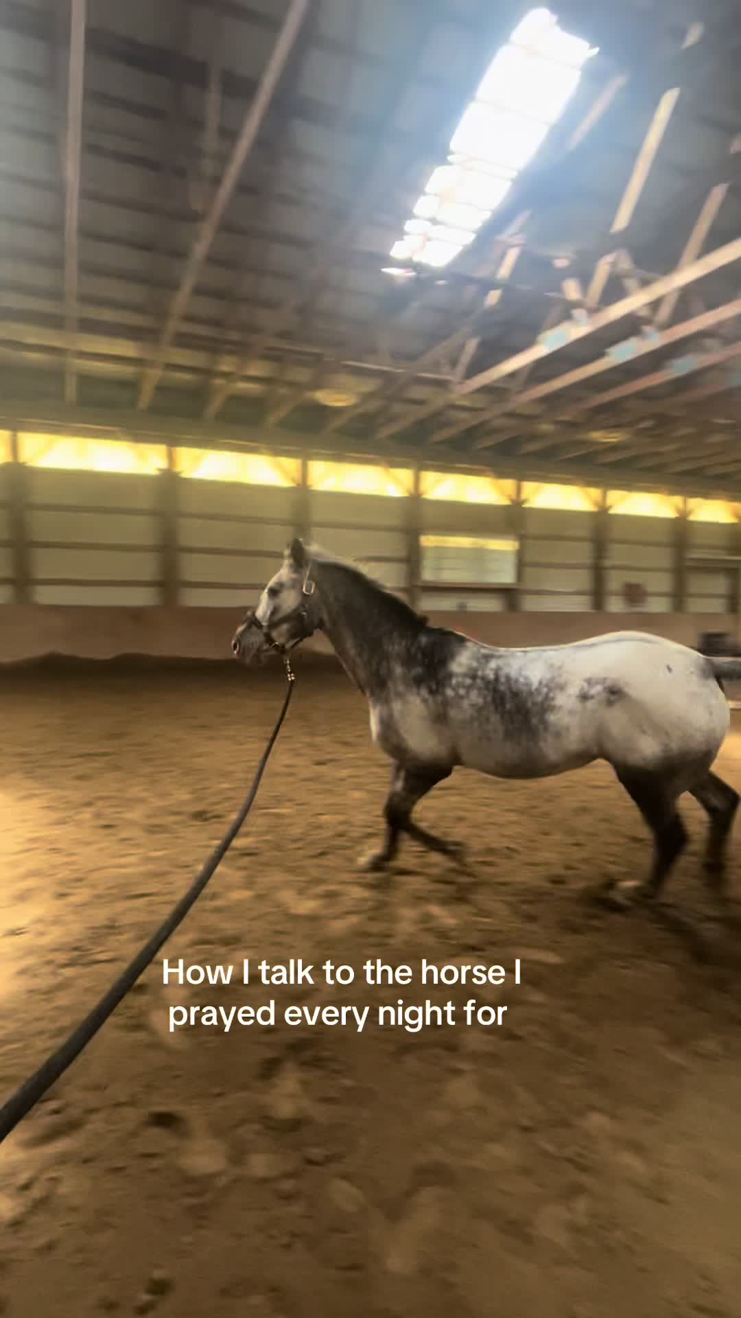 @𝔻𝔸𝕀𝕊𝕐