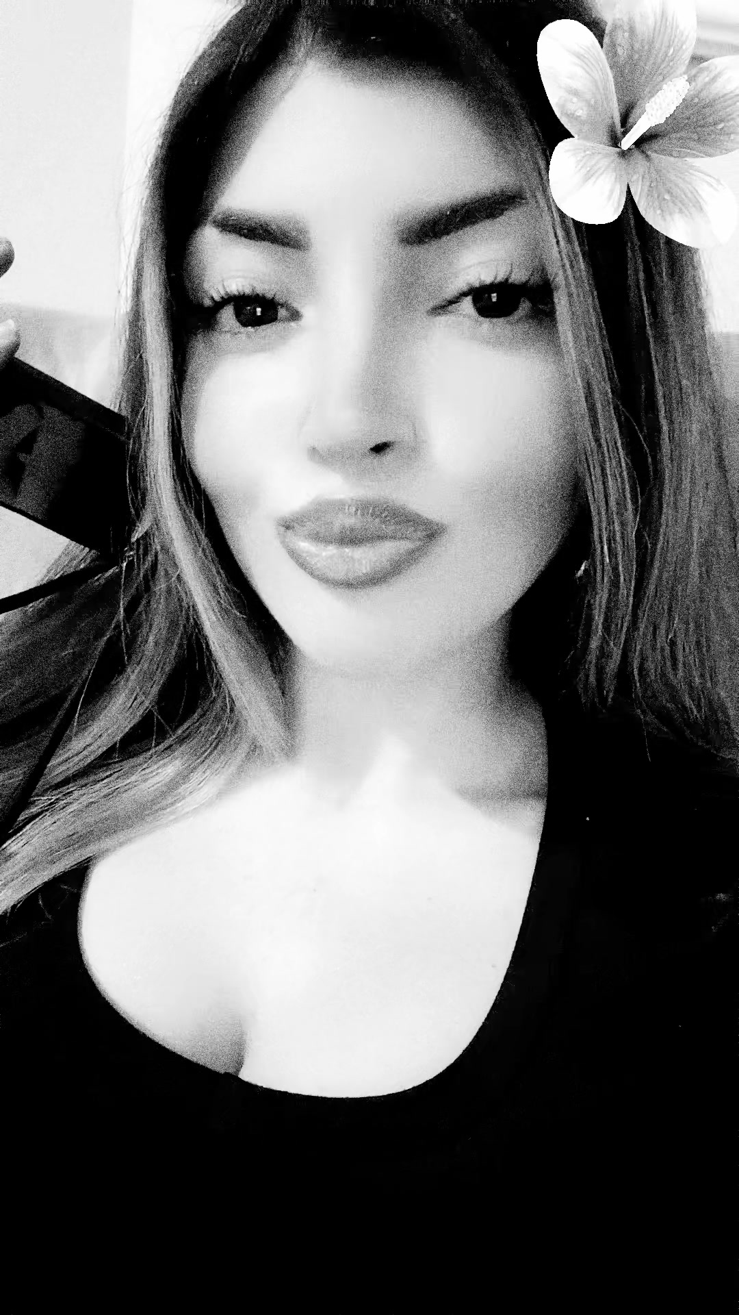 @carmen albolino