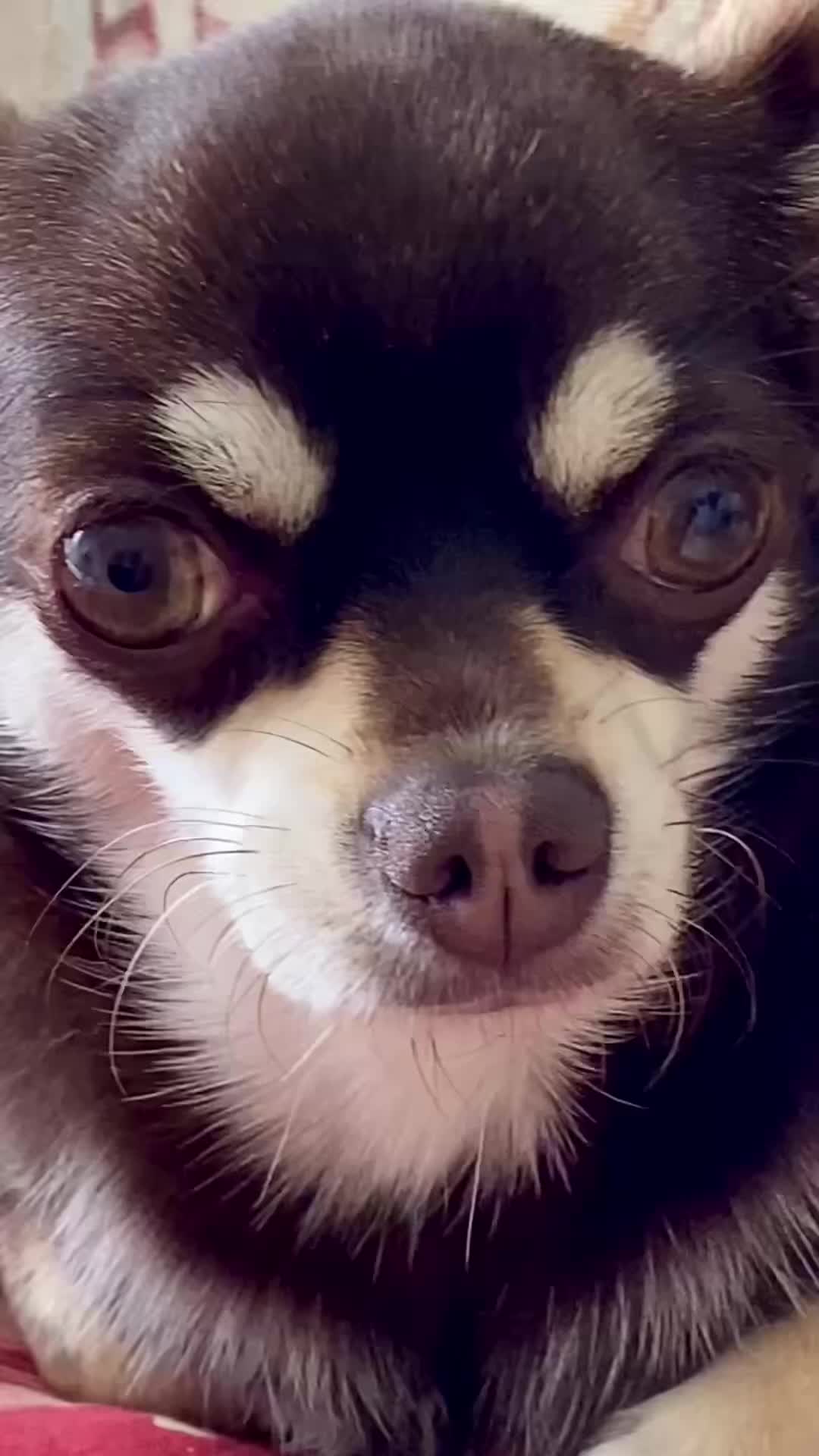 @Mariecandy54❤️