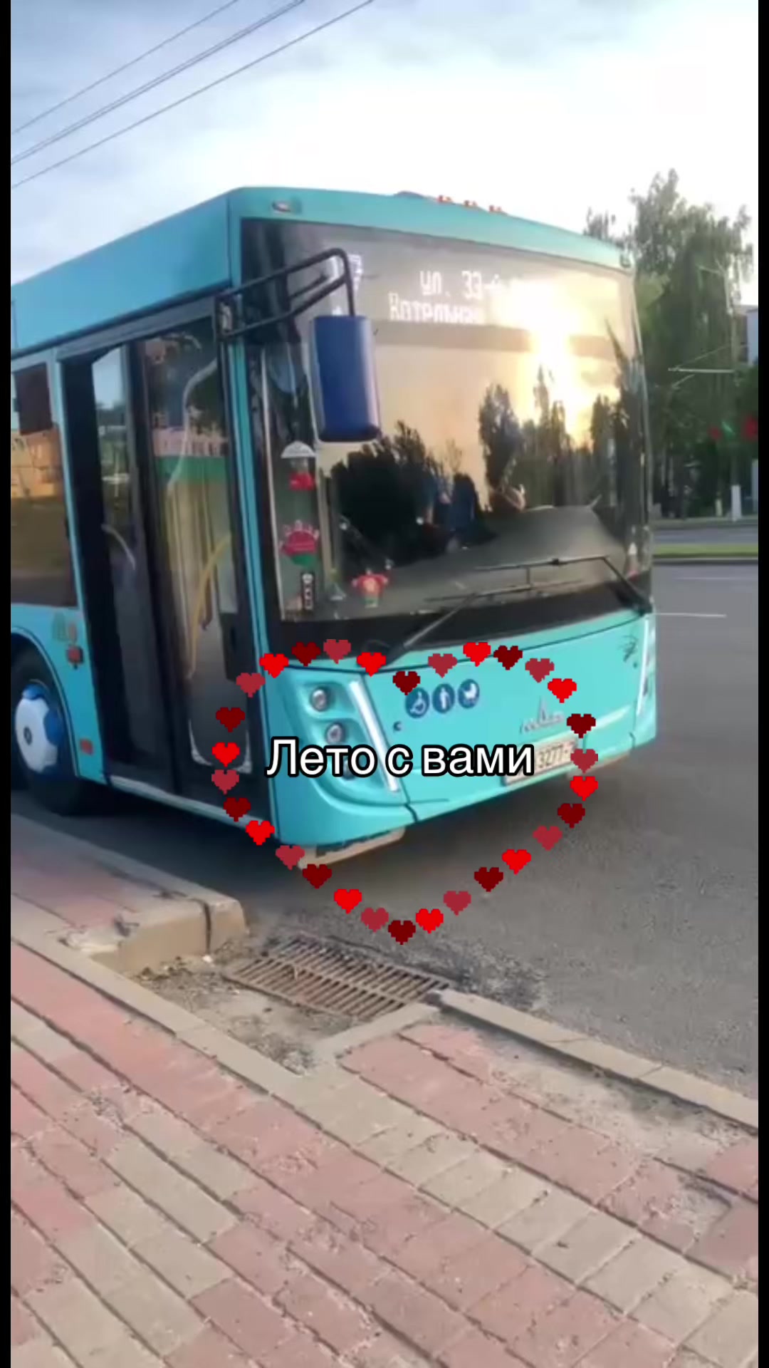@🐱🐯𝑩𝒀_𝑩𝑼𝑺🐯🐱