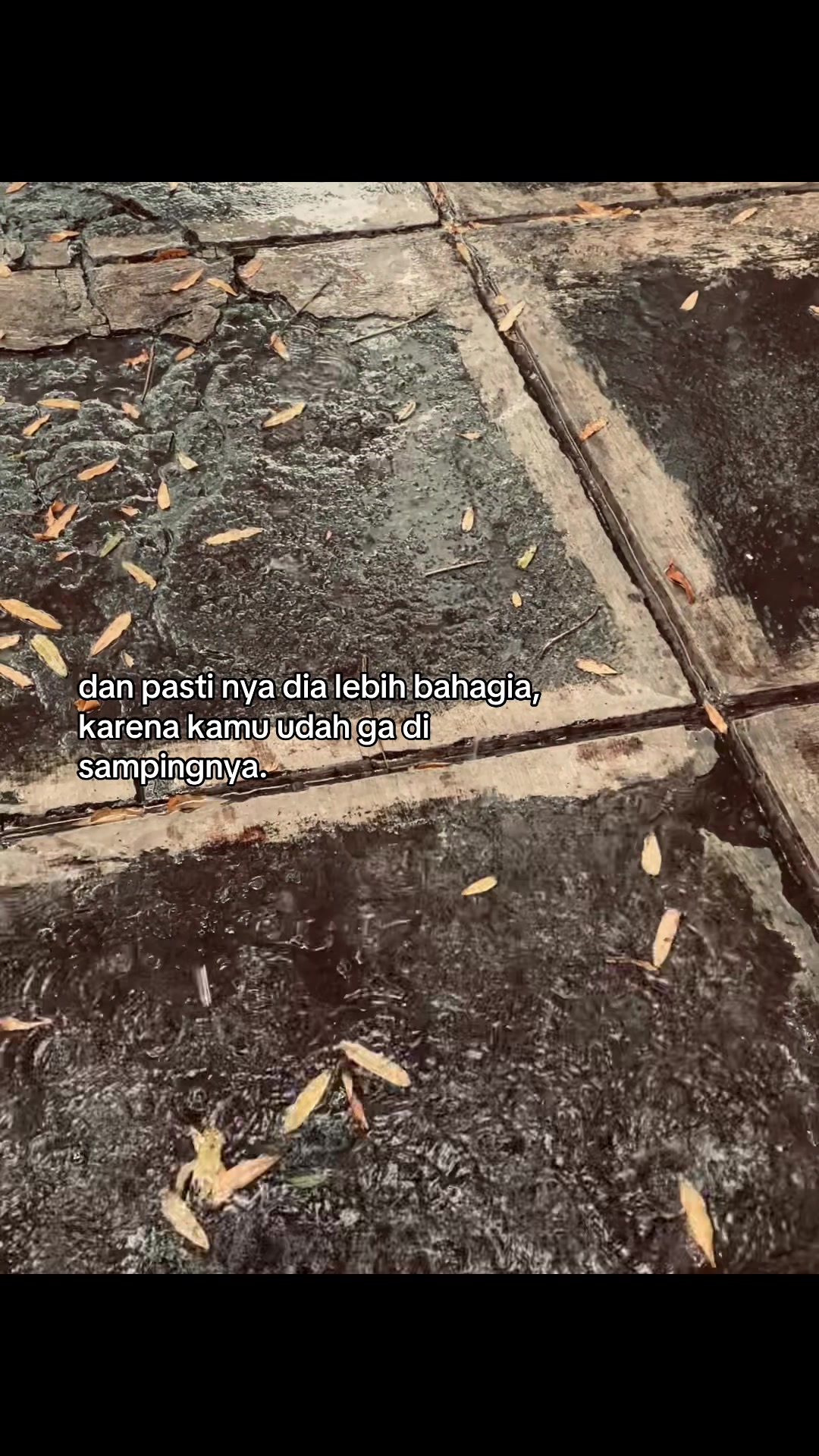 @ayippp