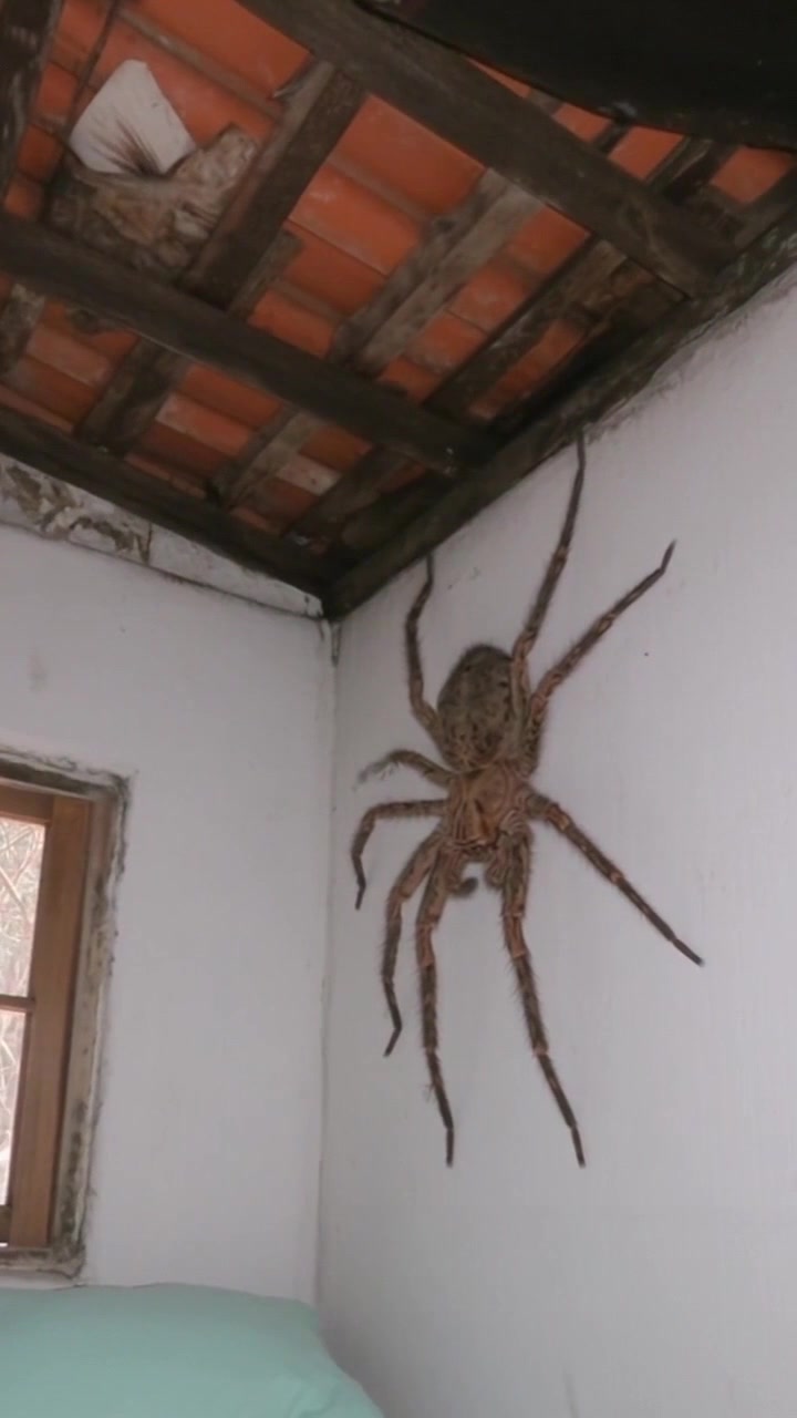 @SwampDiscoveries