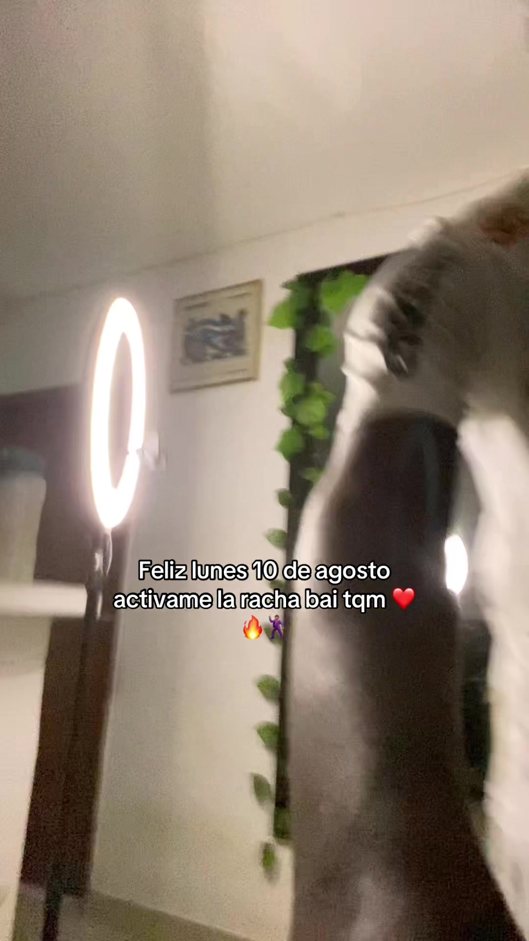 @anderrsito