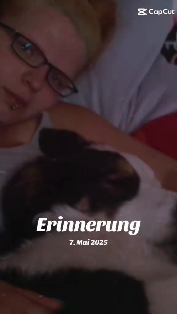@Zahnfee