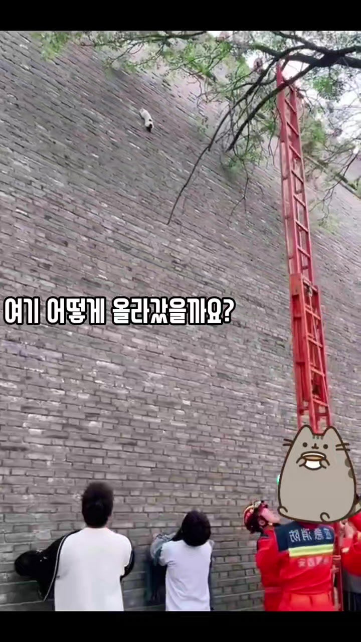 @⏰️ 거꾸로 가는 시계 ⏰️