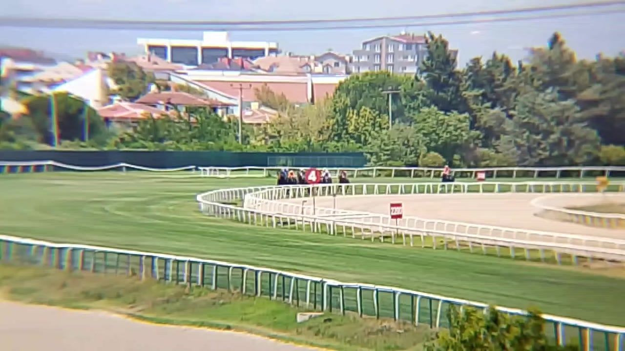 @brs horse racing