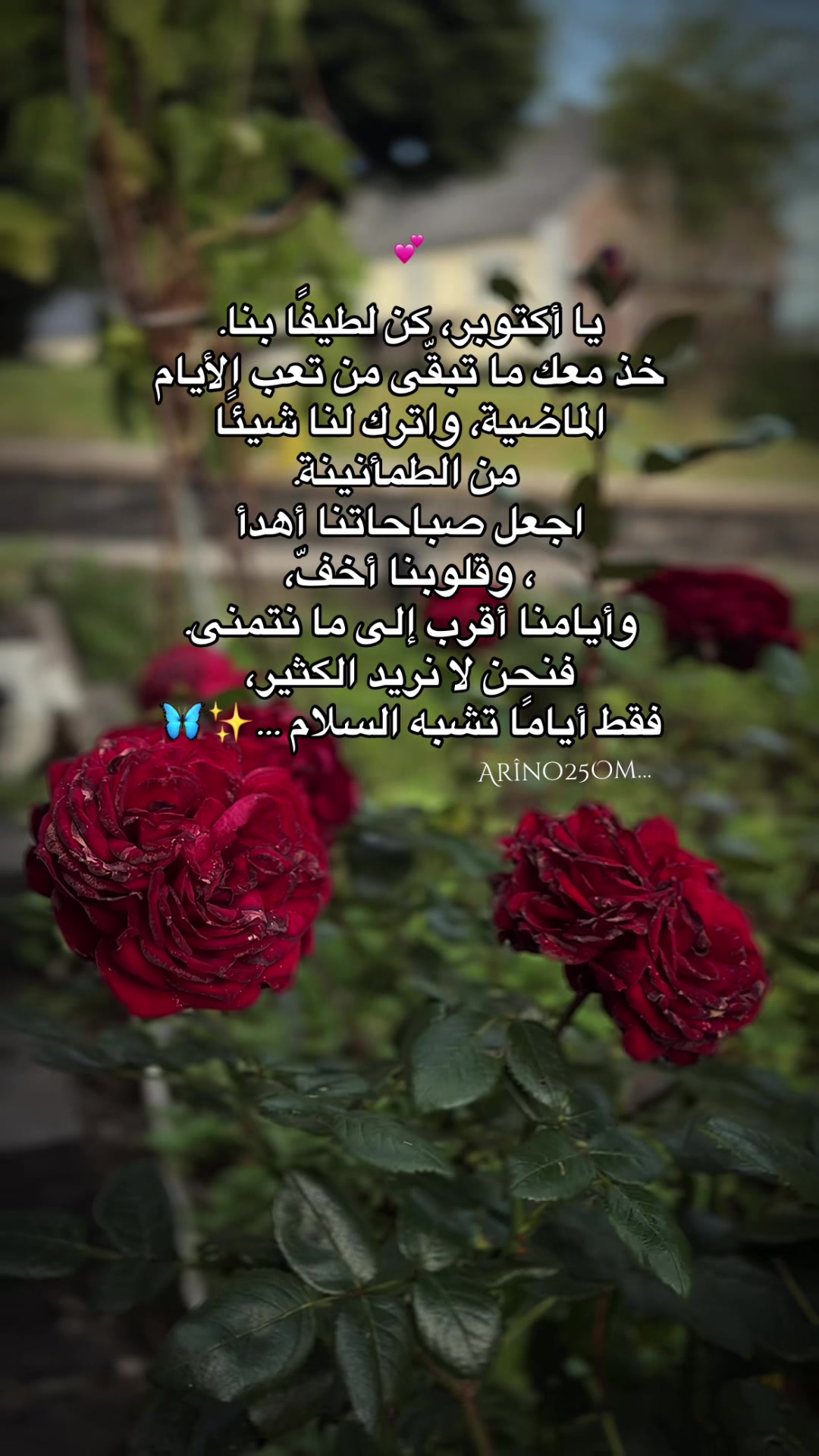 @Ar&icirc;no25Om