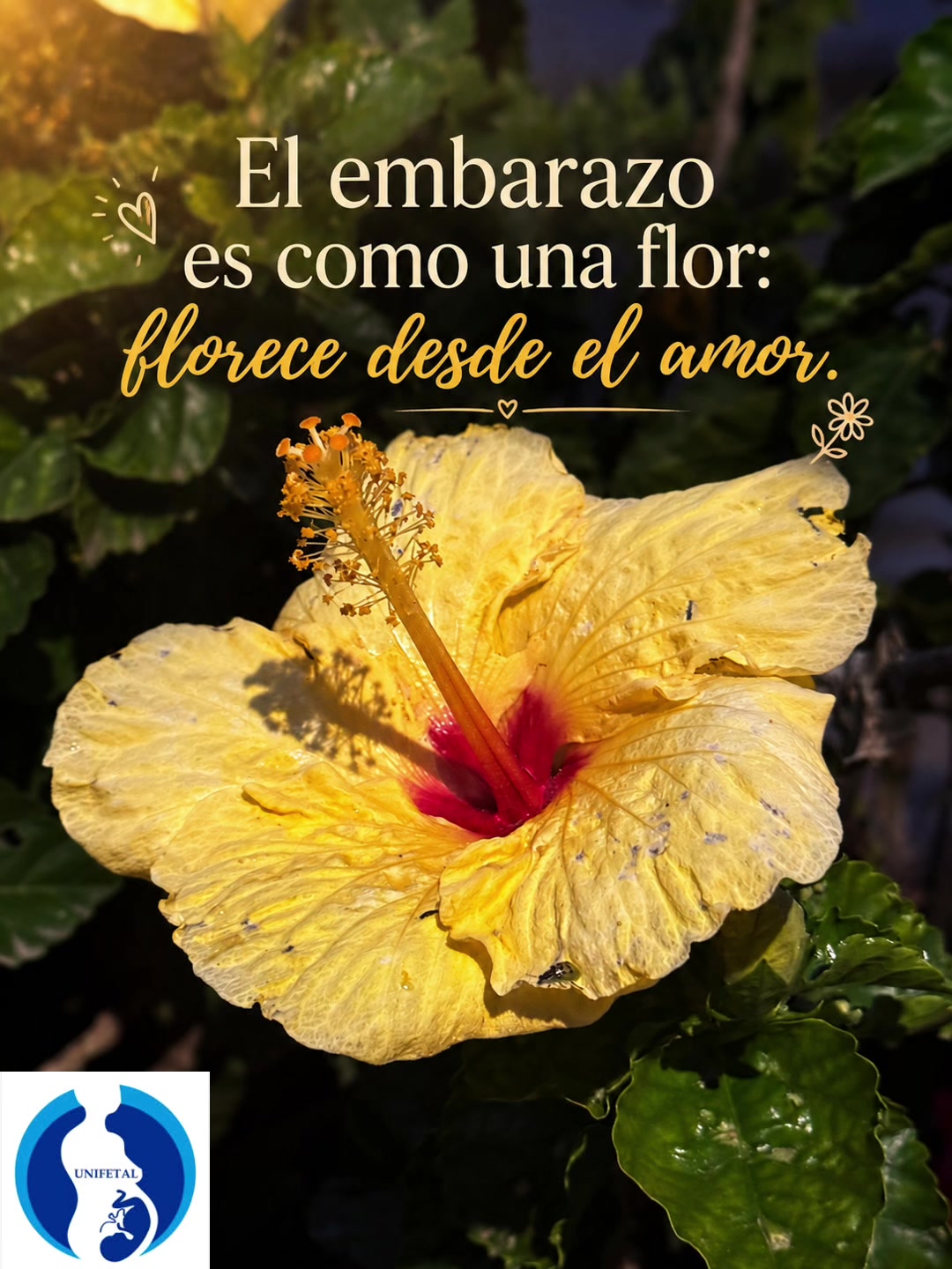 @UNÍFETAL as