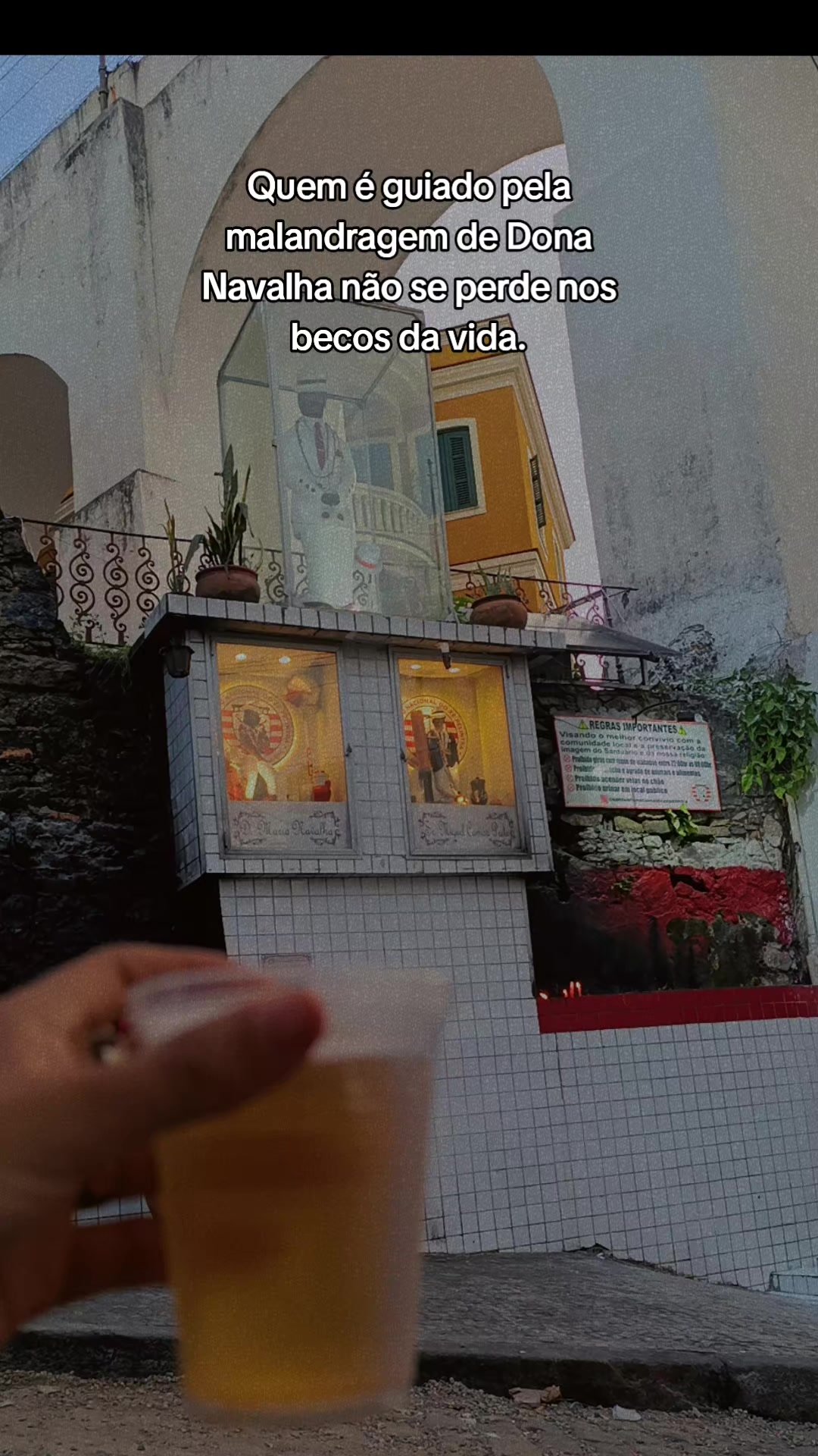 @Renata Freitas