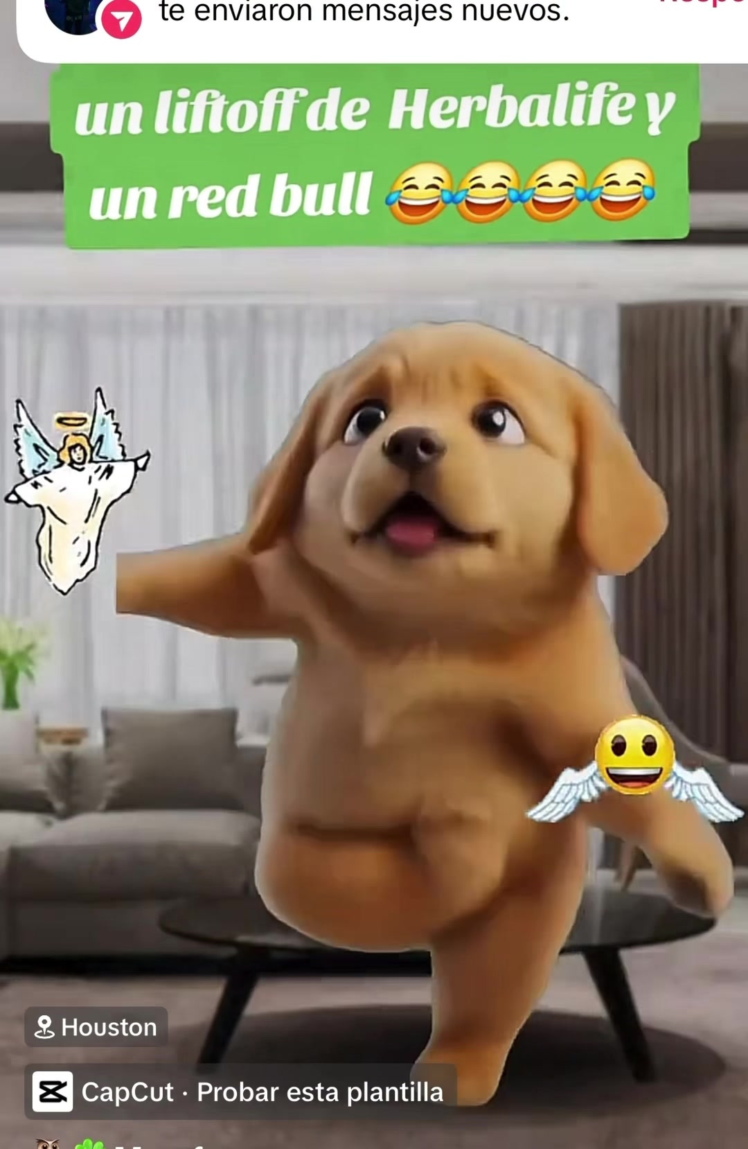 @Marina Pérez