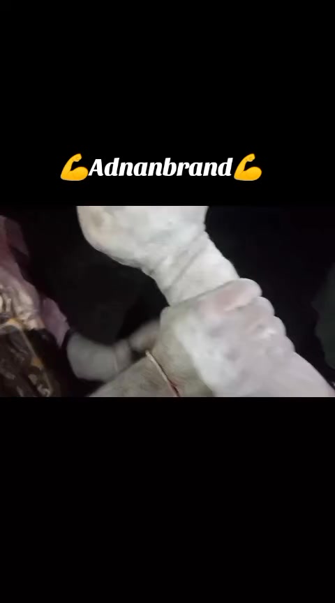 @Adnan ali brand👑💪🏆