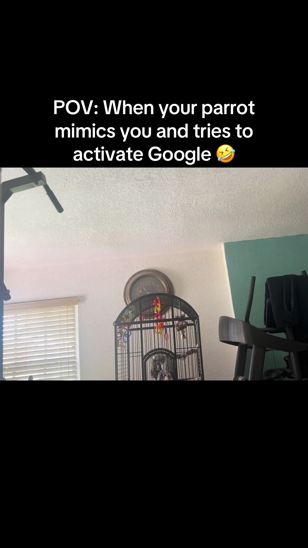@treasegirl