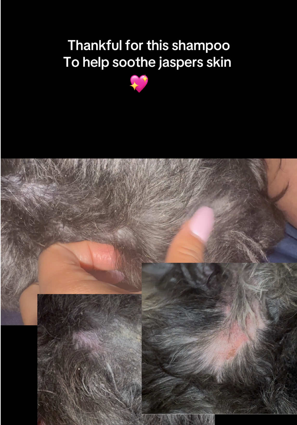 @Lina🇰🇭💚mom: 2 🐶 1 👶