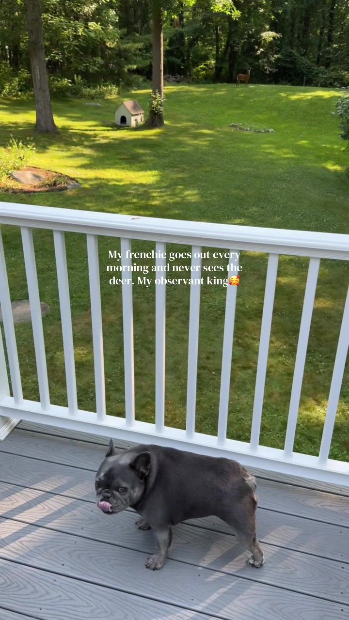@Alexa 🫶🏻
