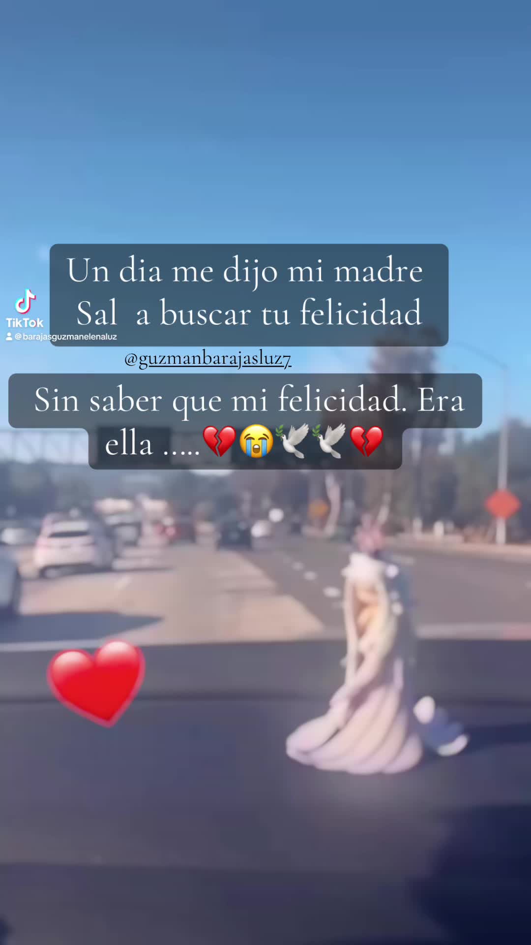 @barajasguzmanelenaluz