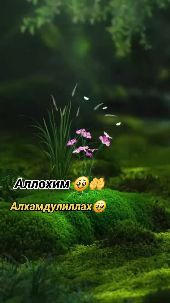 @🥀Сиз мени калбимдасиз 🥀