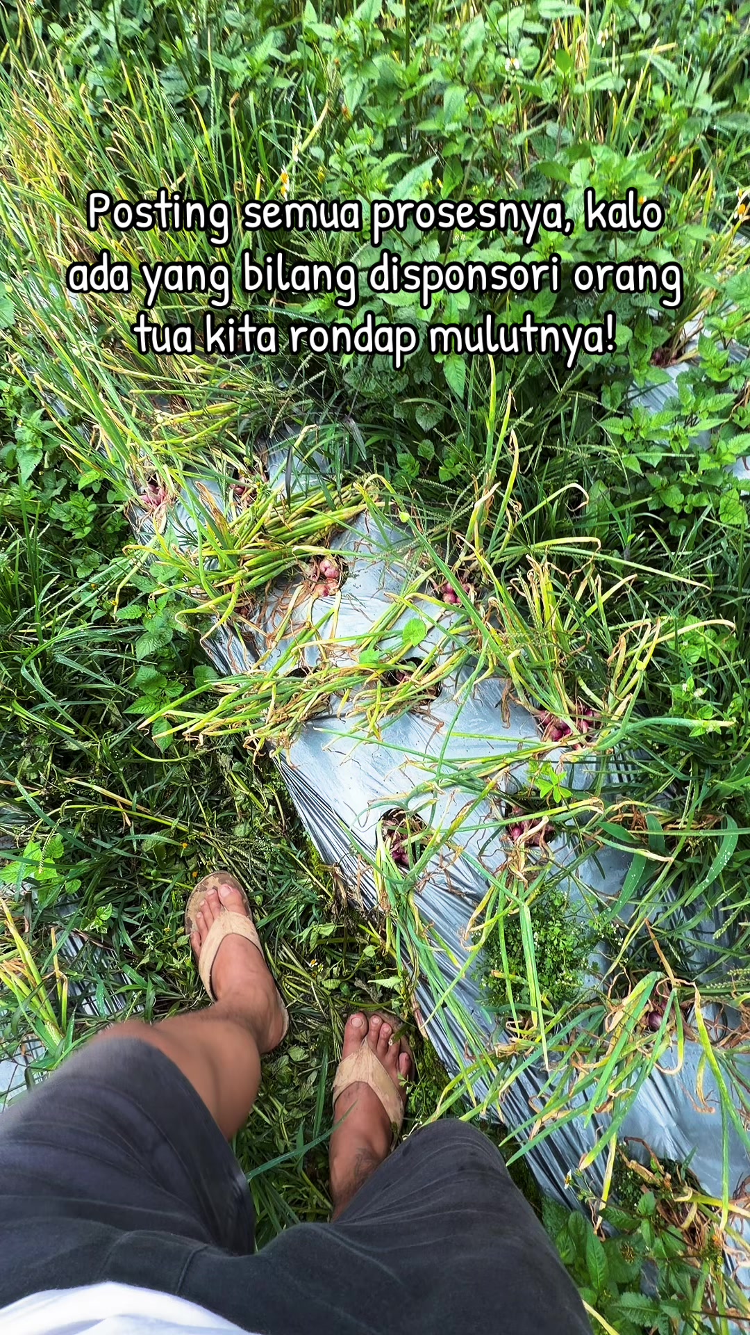 @nanda_setiawan_