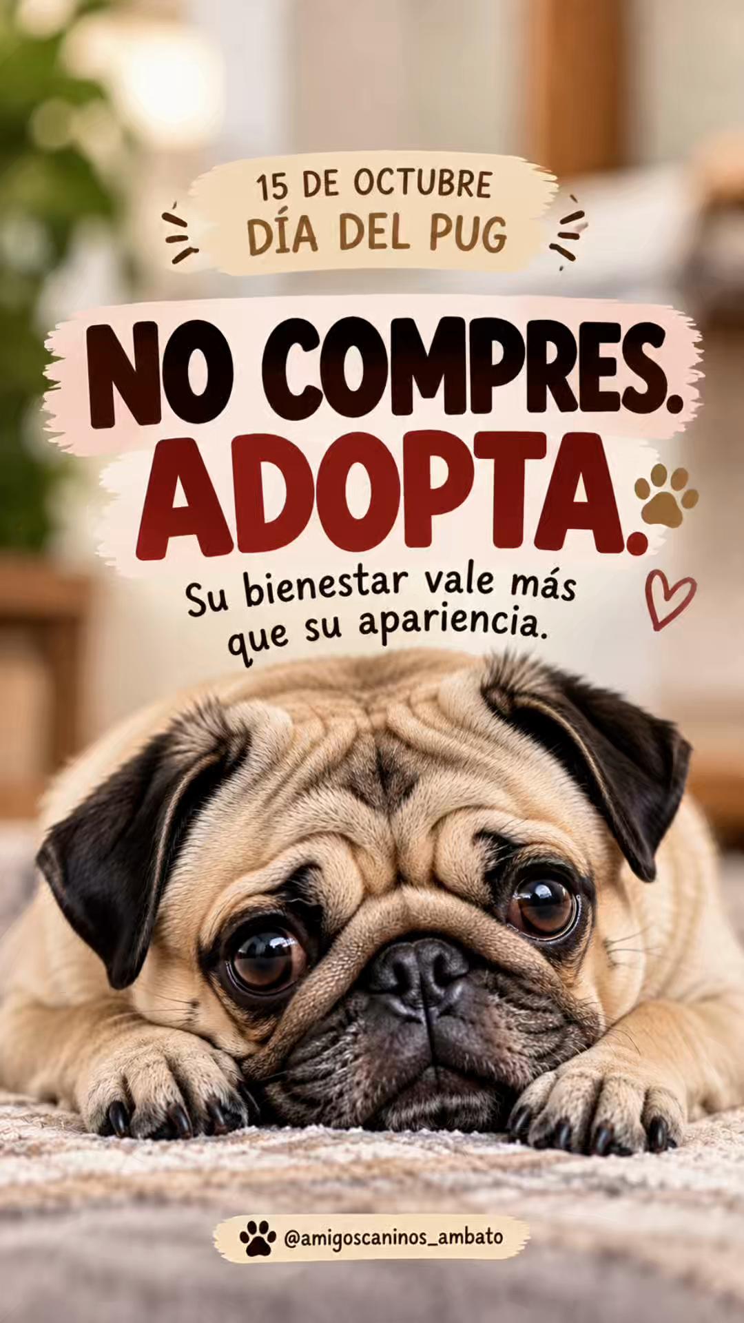 @Amigoscaninos_Ambato