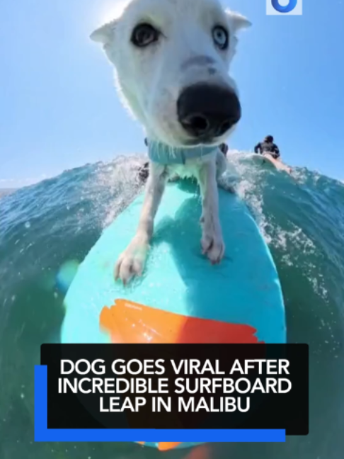 @KTLA 5 News