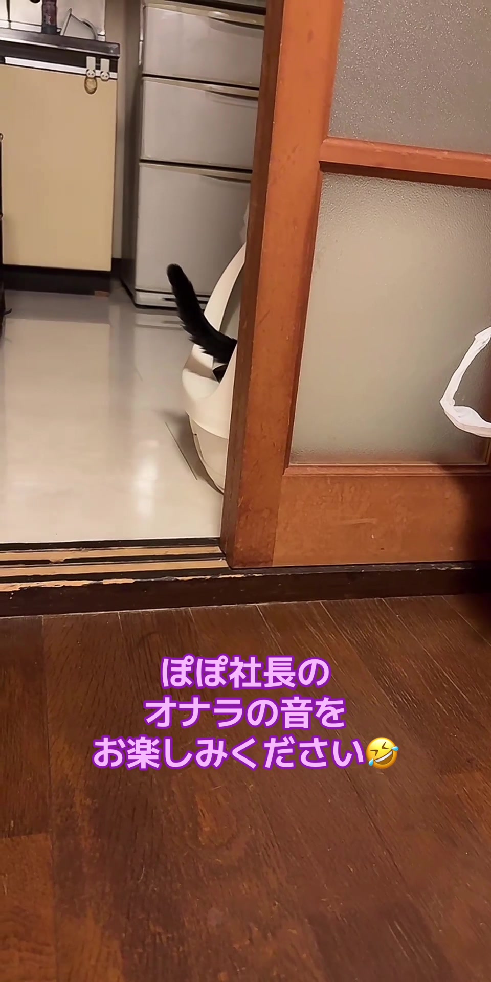 @๐ฑใใใใ๐ฑ