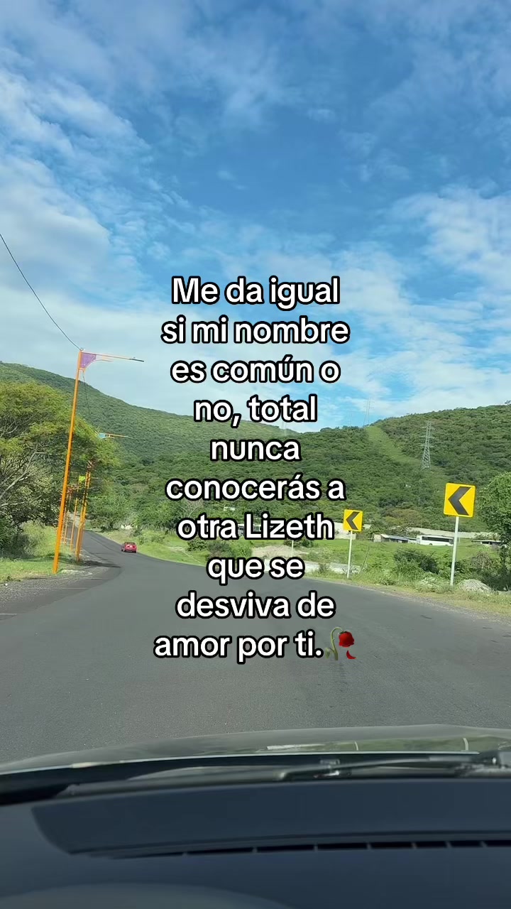 @Lizeth Rodriguez Martinez