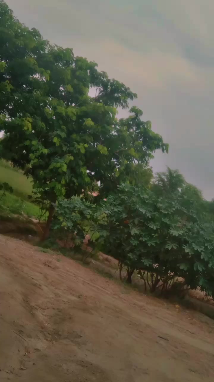 @𝗔𝗤𝗦𝗔