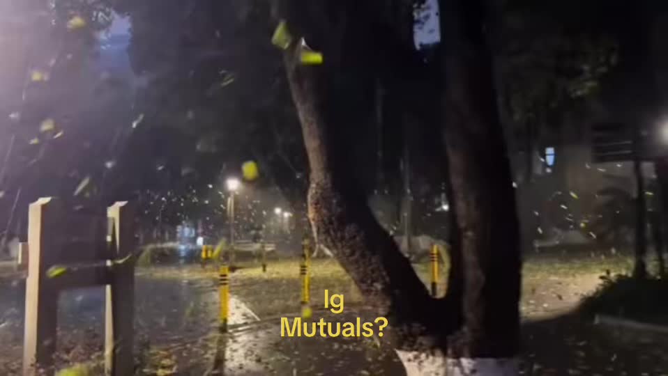 @✧˖&deg;♱