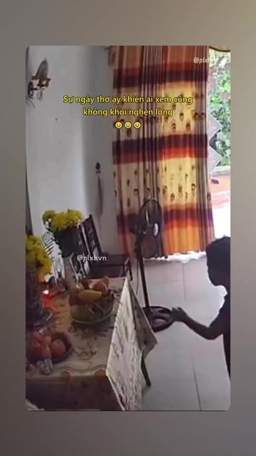 @minhphuong83865