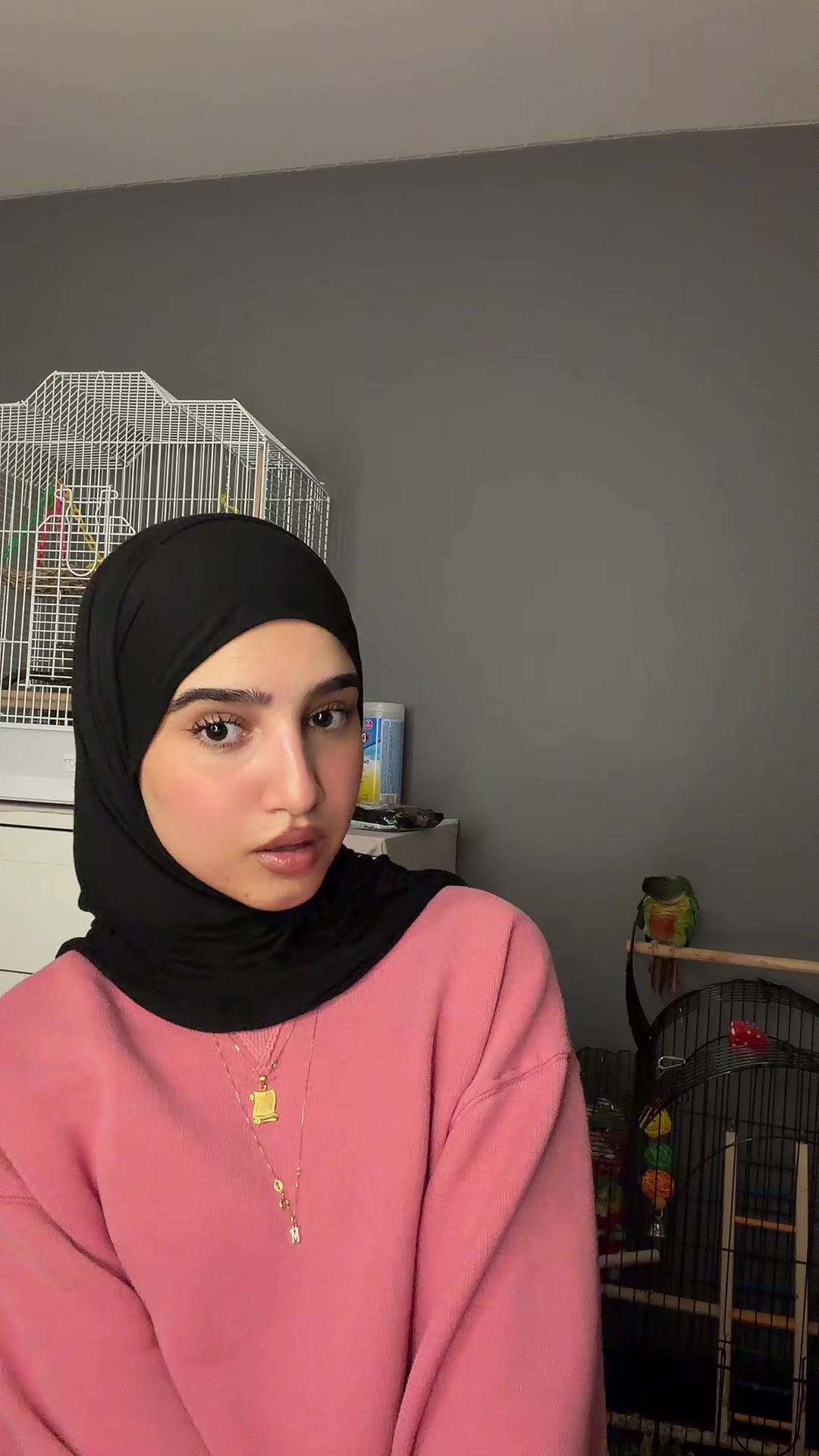 @𝐻𝒶𝓌𝒶 🦢