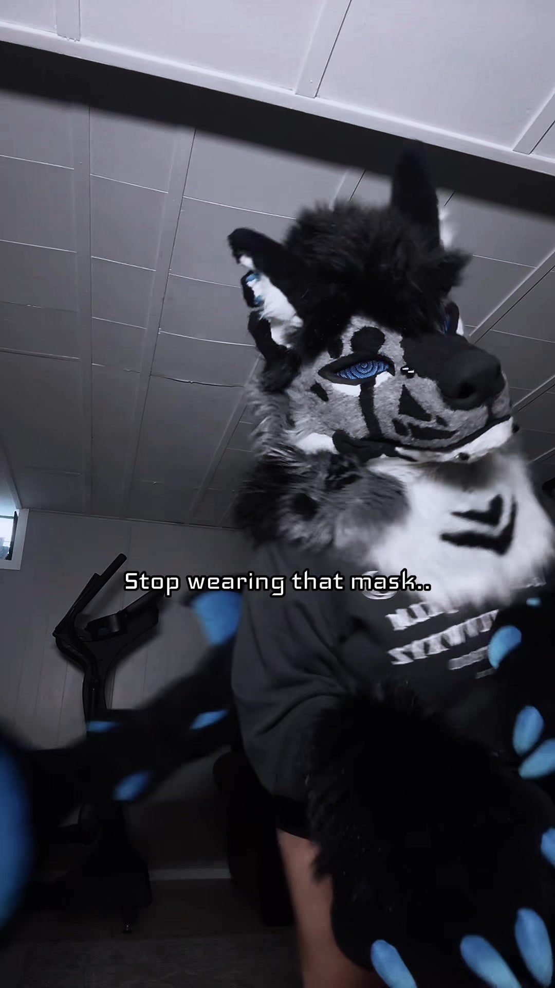 @sonar_hyena_shark