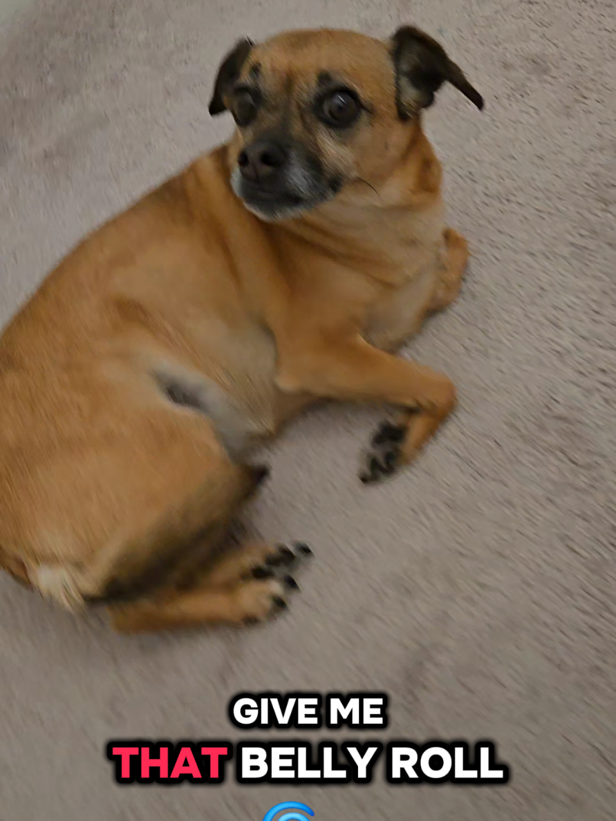 @Twix