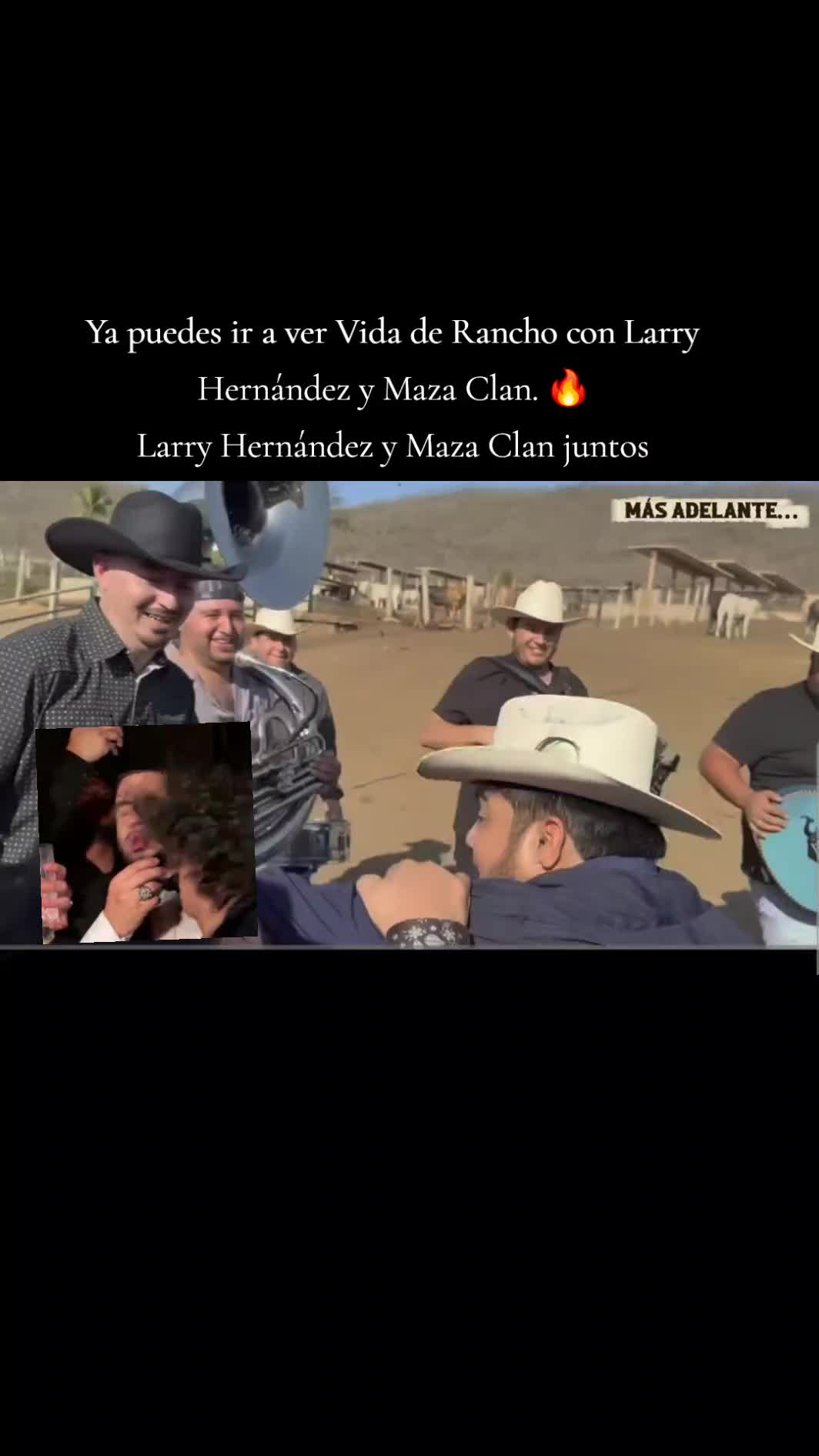 @Chismecito Suculento VIP