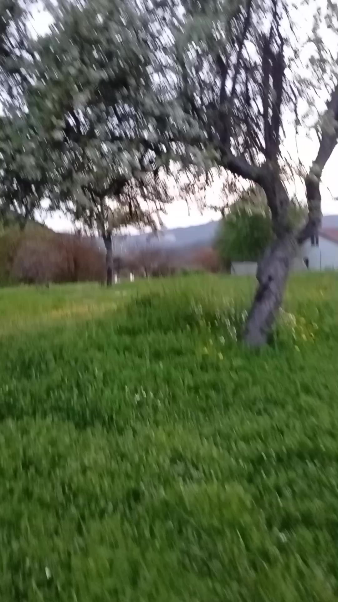 @💙 𝗛𝗶𝘃𝗱𝗮 💙
