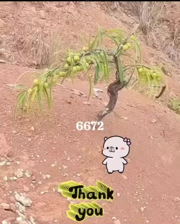 @Phạm Văn Thảo