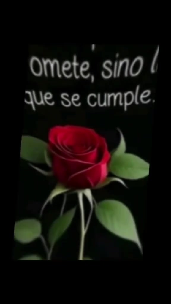 @Elisa🦋 🌻 ✨