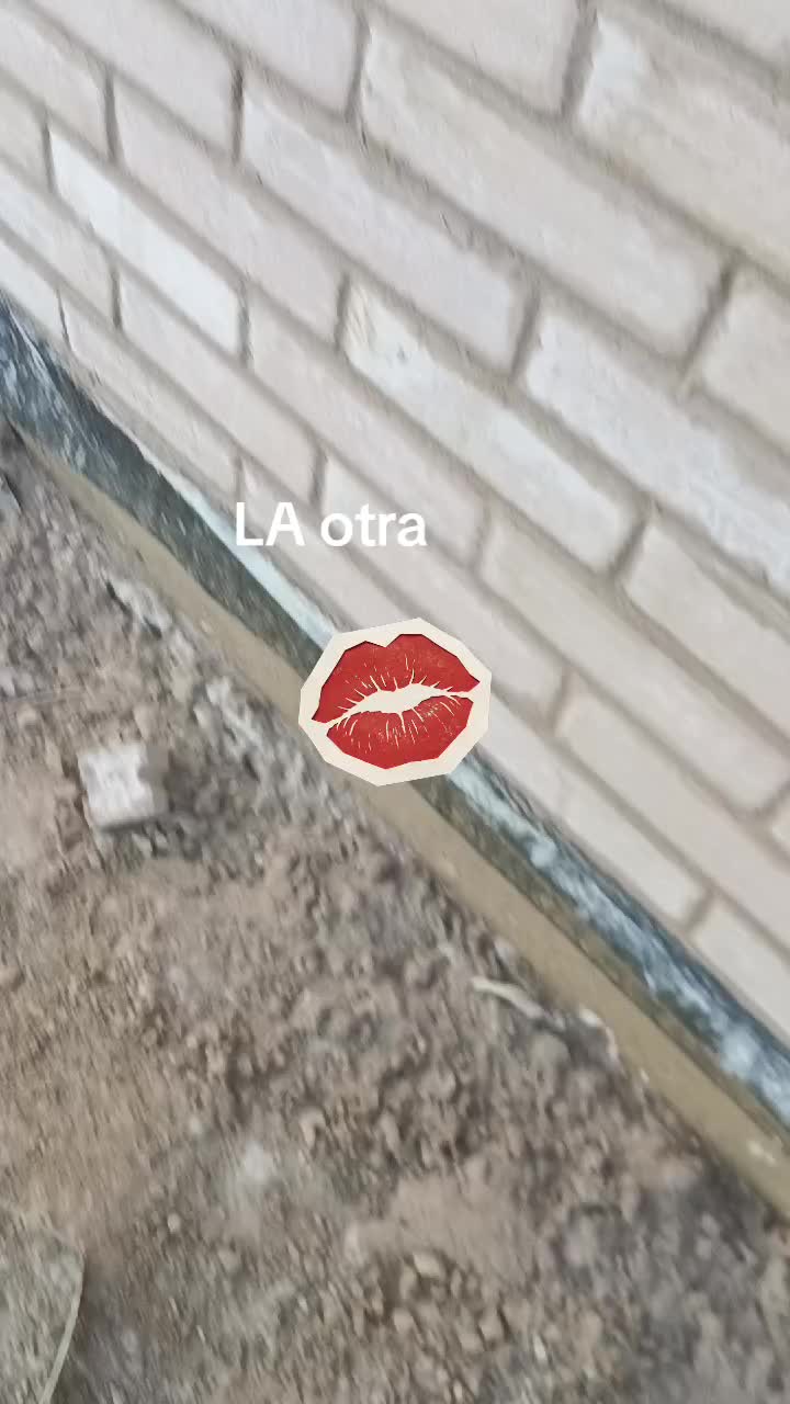 @setd33