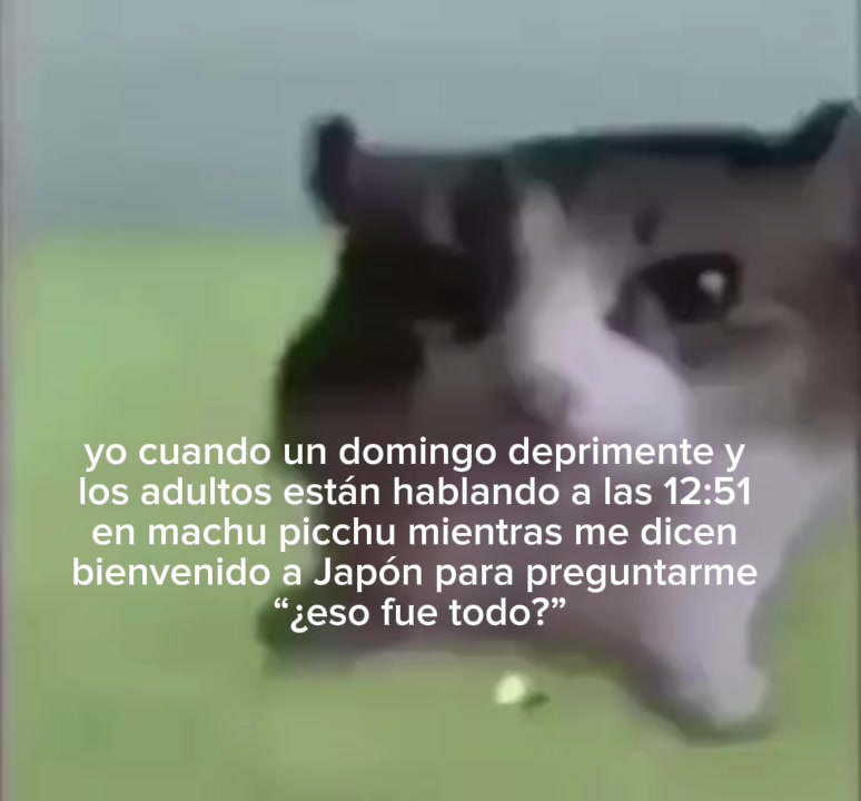 @ʝαɳ ⋆˚꩜。