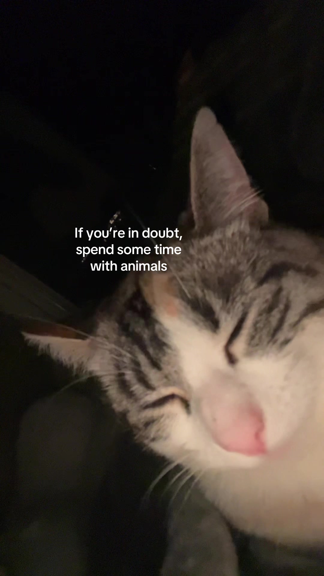 @Gigi
