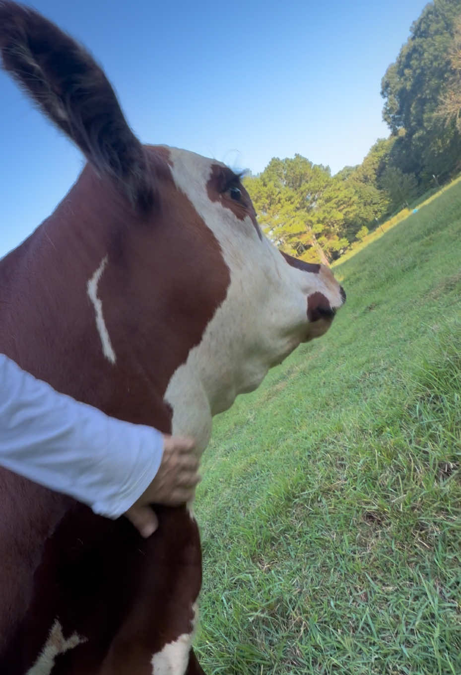@Georgia Farm Girl