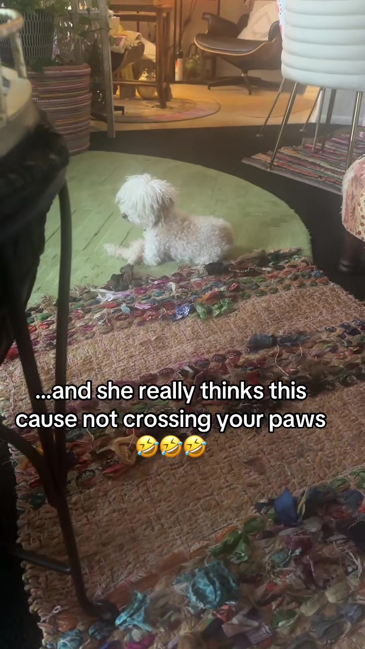 @Nikki