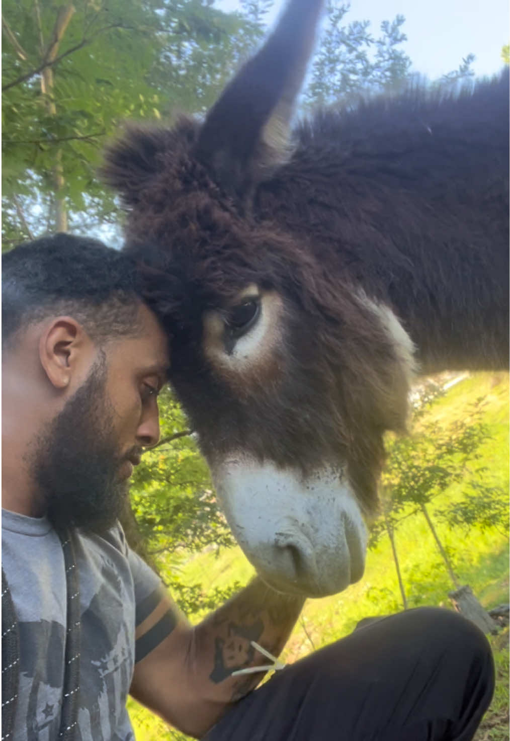 @AJ