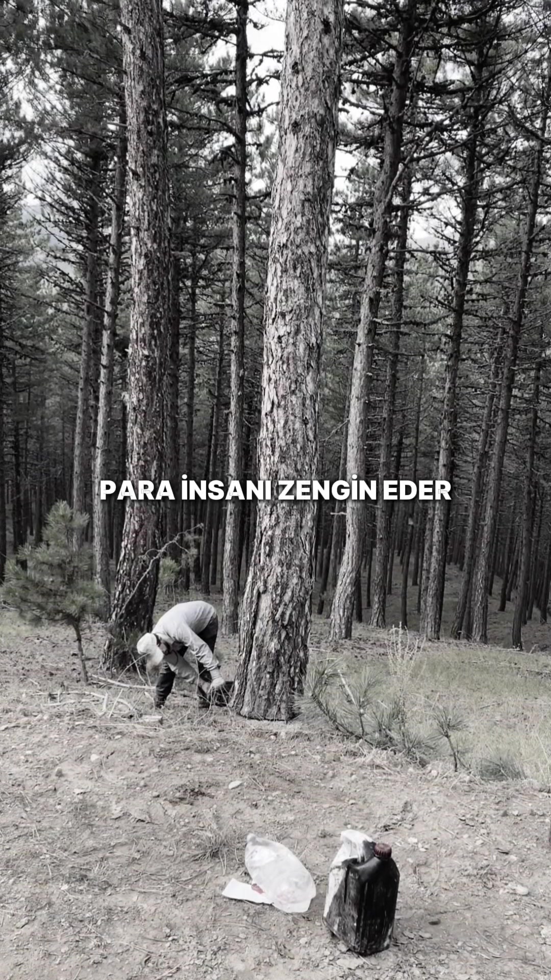 @Zafer Yılmaz