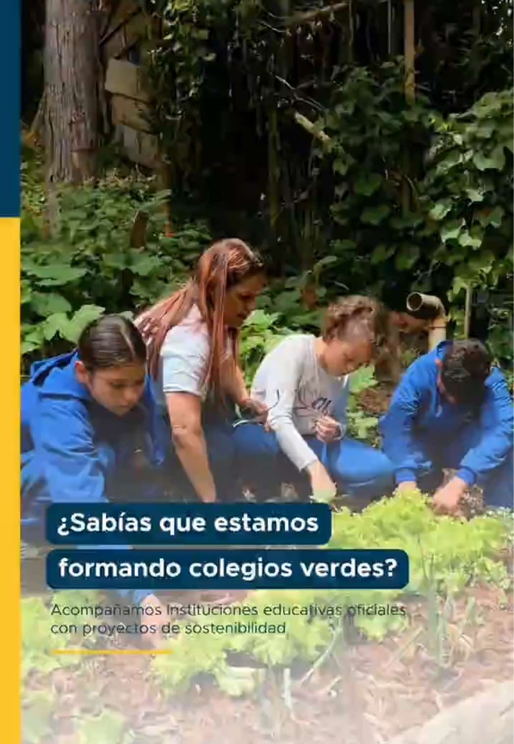 @Alcaldía de Medellín