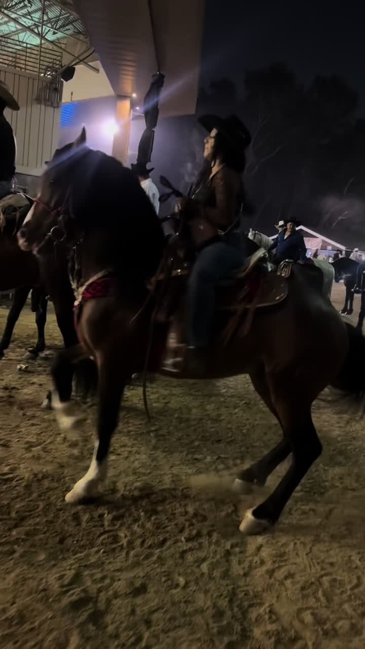 @anissadeacaballo