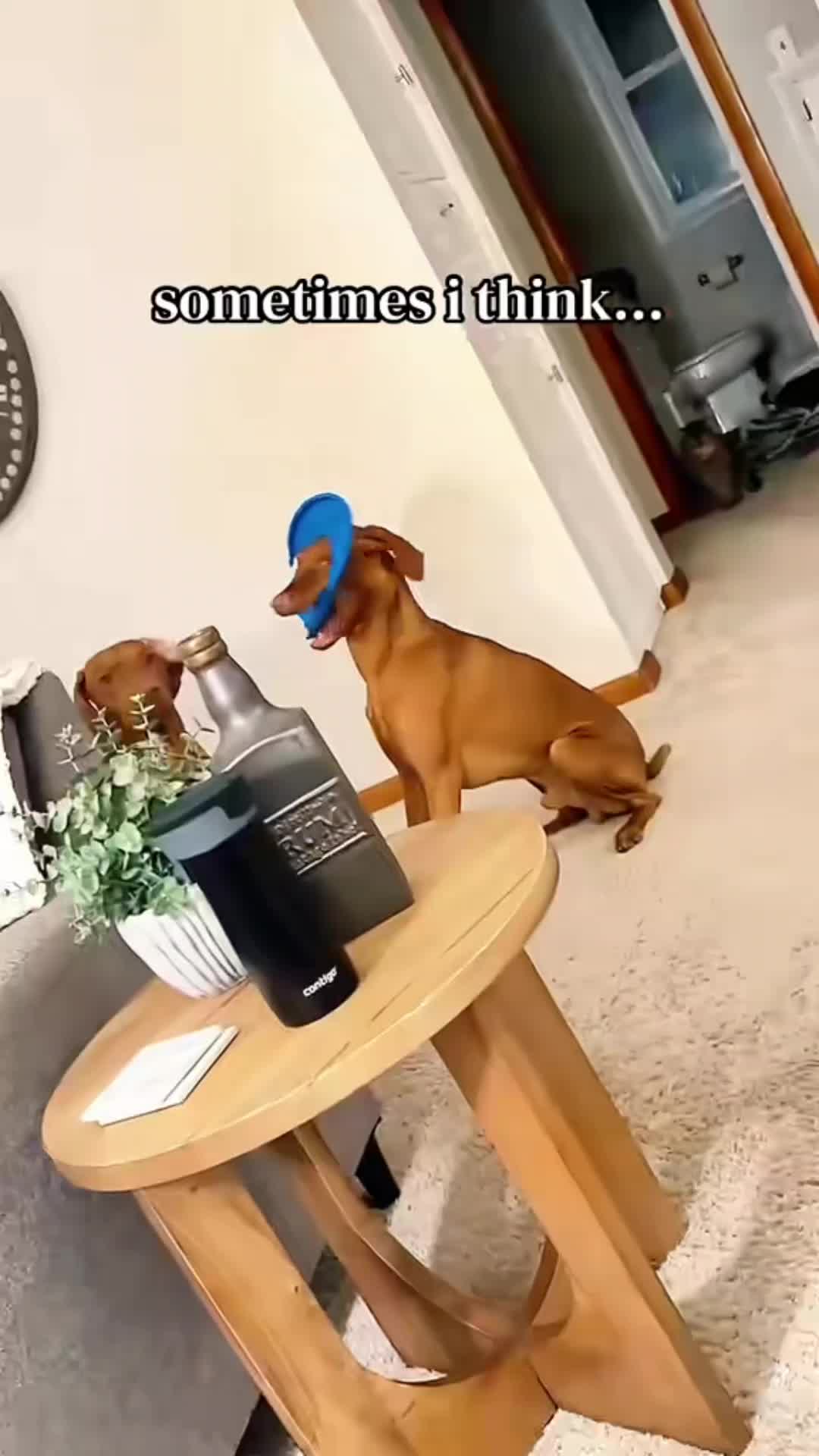 @Tinymight