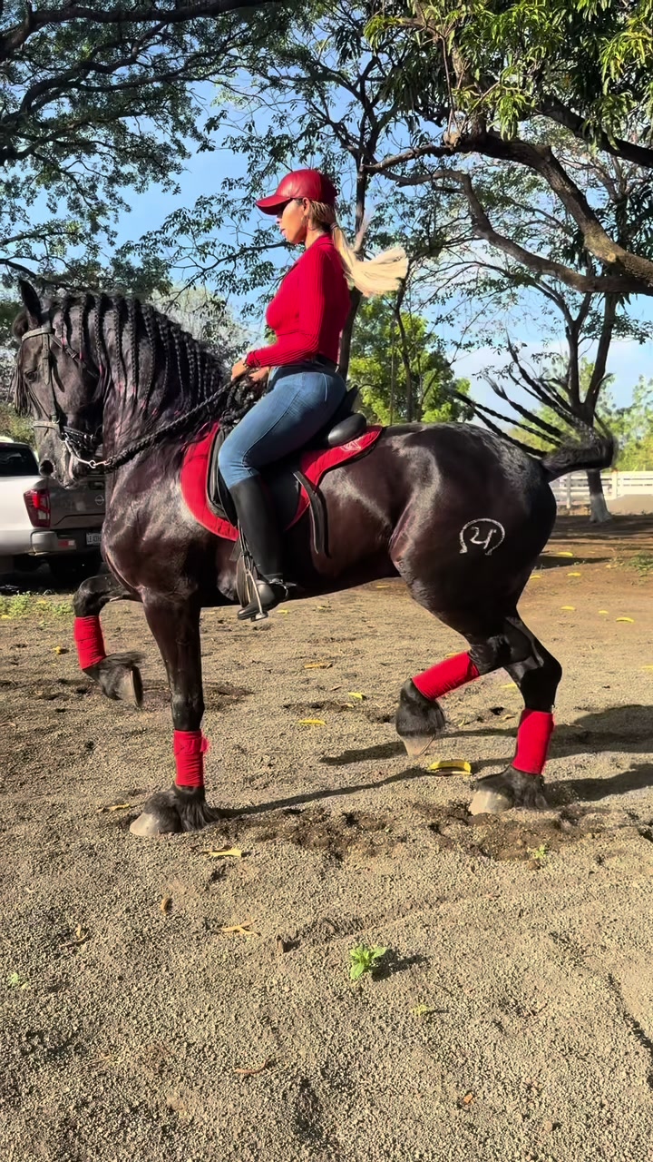 @Cindy Álvarez
