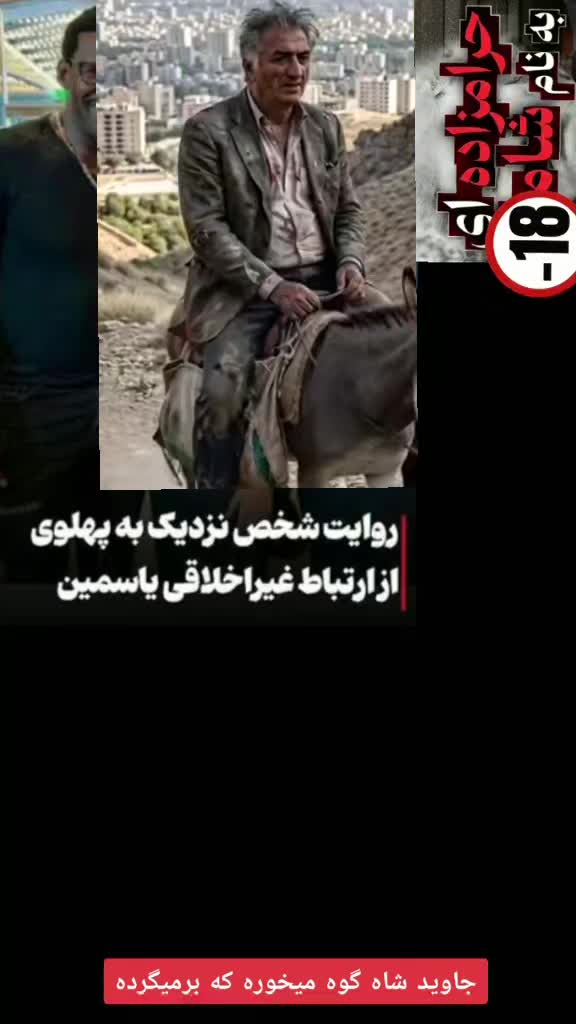 @پرچم دار سادات