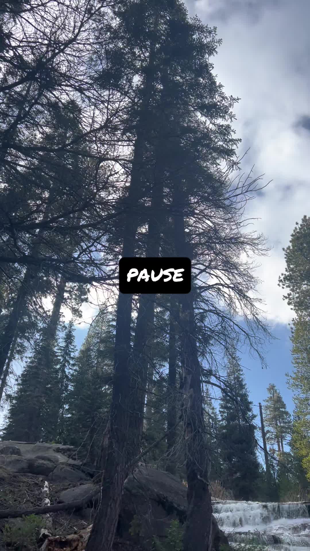 @thehikingmuse
