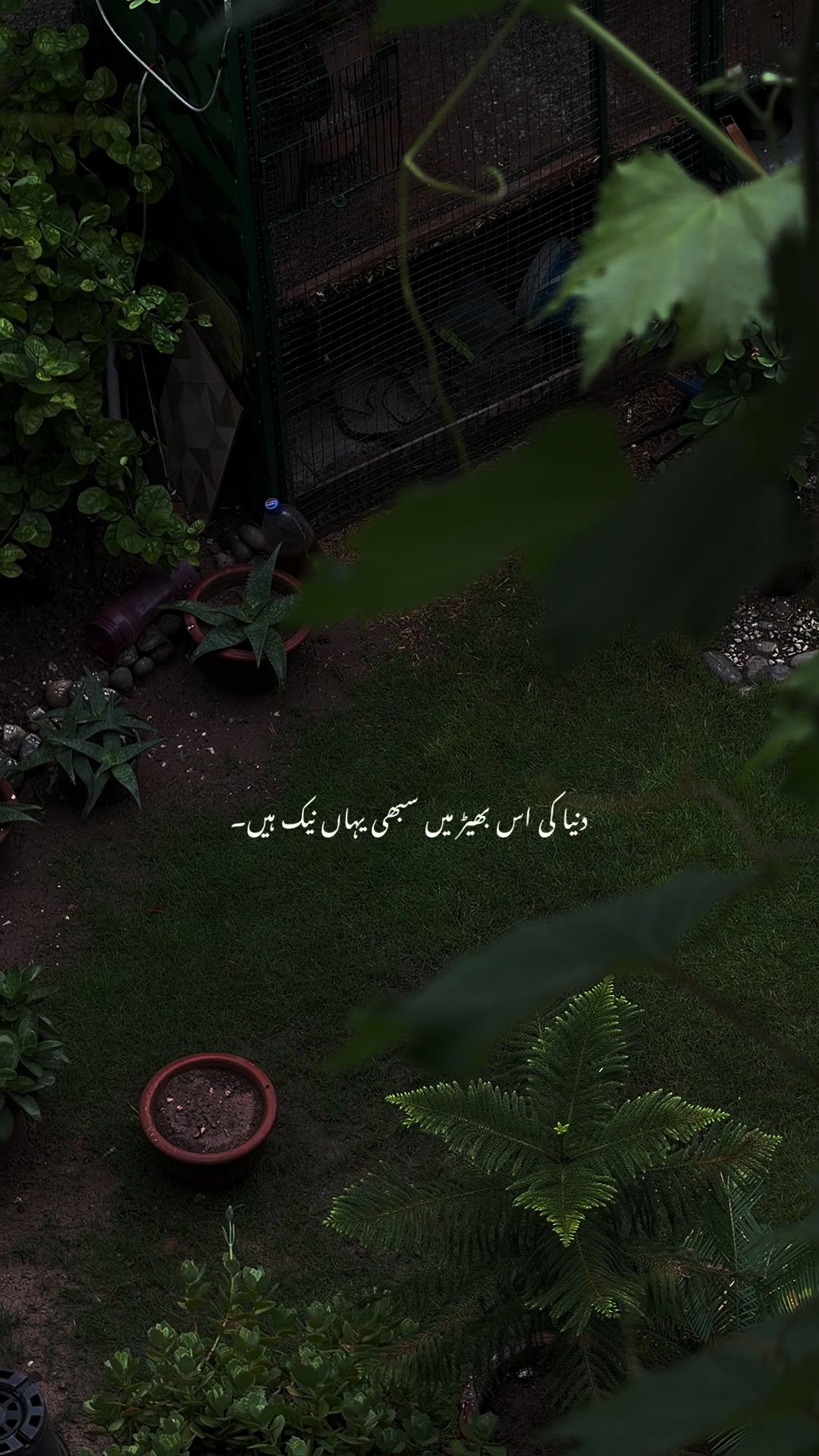 @𝙏 𝘼 𝙇 𝙃 𝘼🫀❤️&zwj;🩹